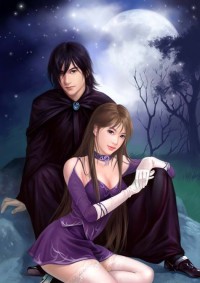 亂世仙妻