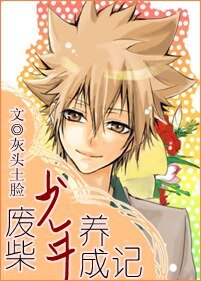 (家教同人)廢柴少年養成記