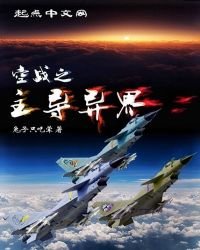 空戰之主導異界