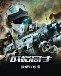 战略高手
